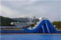 广州市飞鱼游乐充气飞人水滑梯大型飞人充气滑梯 水上乐园冲浪充气滑梯游乐设备