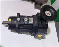 A10VSO28DFR1/31R-PPA12N00力士乐液压泵