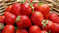 天津塘沽区草莓保鲜冷藏库厂家建设