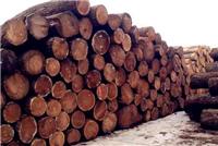 深圳进口越南木材清关需要多少费用