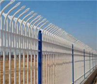 广西专业生产 锌钢护栏网 围墙用护栏网 小区围栏 防盗护栏网可定制