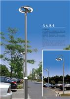 天津静海县公园LED庭院灯施工设计