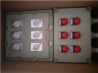BXM D 51-6防爆配电箱,防爆动力配电箱，6回路防爆照明配电箱
