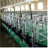 沧州利祥农牧养猪设备厂生产全复合母猪定位栏价格实在 所有铸铁件包用十年