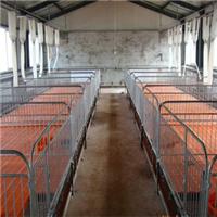 利祥农牧母猪产床 定位栏 保育床厂家直销 签合同包质量大架围栏用十年