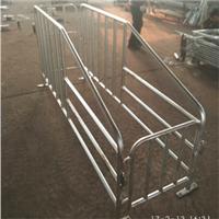 利祥农牧母猪定位栏 限位栏不带食槽单体栏 猪场用品 猪栏猪圈 猪笼设备直销
