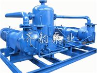 2BV水环式真空泵生产厂家,罗茨水环真空机组生产厂家,齐韵泵业