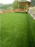 天津人造草坪施工 高密度双筋人造草坪