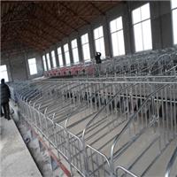 加厚热镀锌母猪定位栏 限围栏养猪设备养厂家直销利祥农牧