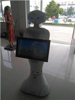 济宁生产营销机器人