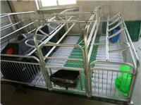 福临养猪设备母猪产床优点说明