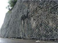 四川边坡防护网 四川主动边坡防护网 四川边坡防护网厂家