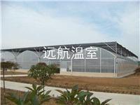 青州市 远航 温室工程，温室大棚
