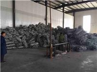安平县耀中金属制品厂不锈钢网质量好，安平县耀中金属制品厂不锈钢网销量好