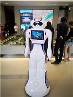 新款迎宾营销2代机器人出售租赁厂家直销可供酒店餐厅典礼商场