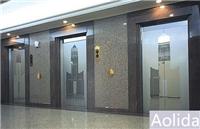 Aolida上海乘客电梯公司供应无机房客梯 酒店电梯 测量设计 一站式服务