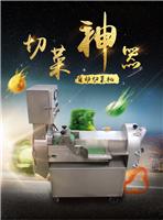 全自动商用大型多功能切菜机 韭菜咸菜切片切丝机