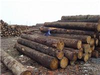 广州进口木材进口代理费用多少