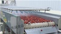 新疆大枣清洗设备|红枣沥水设备|风干生产线