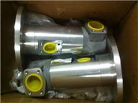 原装进口GR55SMT16B300L磨机润滑泵，现货供应