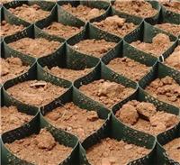 边坡防护固坡护土绿化种植蜂窝约束系统钢塑土工格室