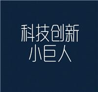 2017年广州市科技创新小巨人基础工作规范建议
