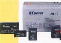 美国KOKO可可蓄电池6GFM100价格12V100AH