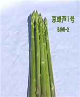 京绿芦一号-国产芦笋种子，高产芦笋种子
