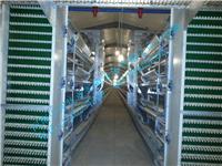 湖北大型全自动化蛋鸡养殖场配套养鸡设备，免费规划设计鸡场
