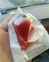 套袋草莓**小蜡袋厂家直销各类防潮防虫防病菌果袋