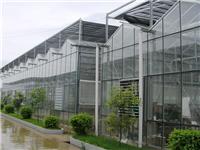 供应潍坊优质的玻璃温室|河南玻璃温室骨架