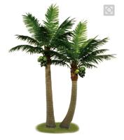 厂家直销仿真椰子树、仿真棕榈树、仿真基站树人造树生产厂家