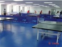 天津乒乓球场地胶维修 室内地胶施工