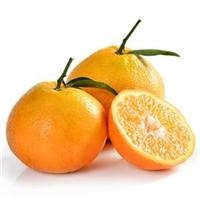 新鲜春见柑橘好多钱一斤_蒲江蜜柚有卖_