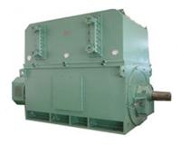 YKS高压电机 水泵电机