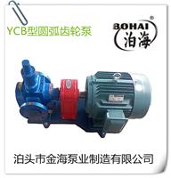 厂家生产 YCB不锈钢圆弧泵 不锈钢泵 合金耐磨泵 金海泵业