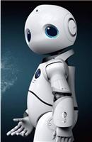 2019北京国际智能机器人展