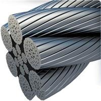 浩铵供应304不锈钢钢丝绳 SUS316不锈钢钢丝绳 细钢丝绳 现货 
