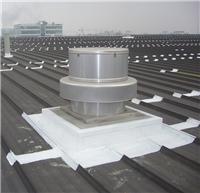 金属屋面防水 厂房防水 钢结构防水涂料