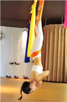 石龙12天维密*营团伞舞培训菲雅专业瑜伽培训专业舞蹈