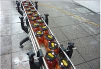 广州深圳输送设备 传送机输送线输送带 传送带 皮带输送机厂家