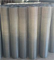 镀锌电焊网3*3网孔200丝 1.2m、1.5m、1.8m现货