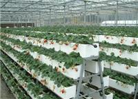 河北草莓立体种植槽设备价格