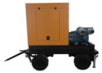 上海舜隆泵业机械供应SLCTLZ型移动柴油机凸转轮子泵