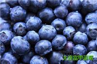 丹东蓝莓如何挑选-富甲蓝莓-大连蓝莓