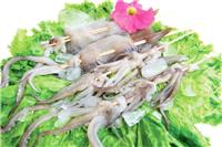 山东威海鱿鱼的营养价值和功效作用