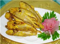 山东威海黄花鱼的产量和市场