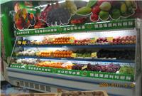 风幕柜|蔬菜保鲜风幕柜|北京风幕柜厂家|超市风幕柜