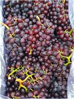 山东烟台栖霞葡萄的经济价值