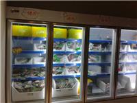 立式玻璃门冷冻柜|北京双门冷冻柜|冷冻展示柜